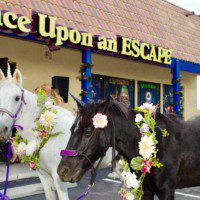 Once Upon an Escape - Grand Opening Unicorns