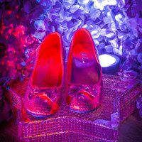 Once Upon an Escape - Red slippers